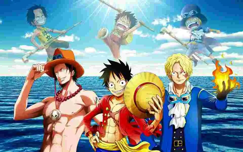 Who gave Luffy his hat?